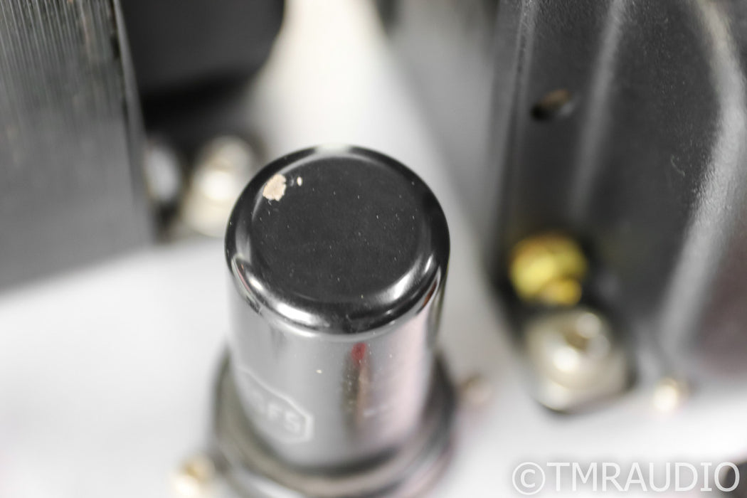 Fi Audio 2A3/45 Mono Tube Power Amplifier