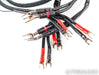 AudioQuest Rocket 88 Bi-Wire Speaker Cables; 8ft Pair; 72v DBS