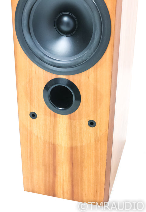 B&W P6 Floorstanding Speakers