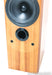 B&W P6 Floorstanding Speakers