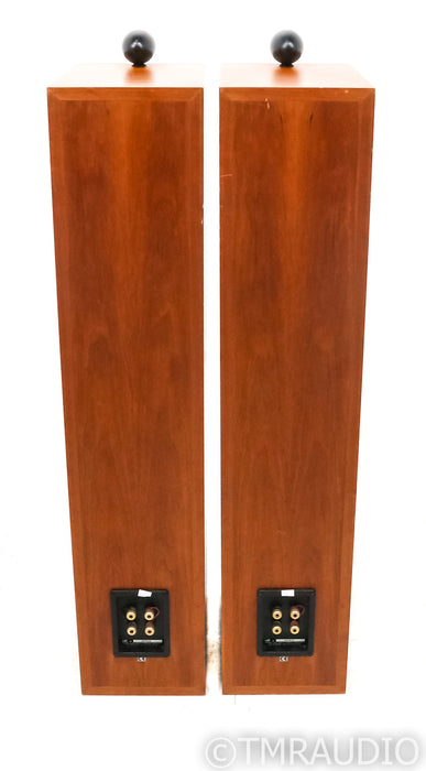 B&W P6 Floorstanding Speakers