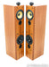 B&W P6 Floorstanding Speakers