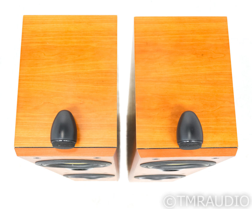 B&W P6 Floorstanding Speakers