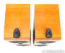 B&W P6 Floorstanding Speakers