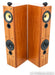 B&W P6 Floorstanding Speakers
