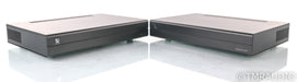 PS Audio Stellar M700 Mono Power Amplifier