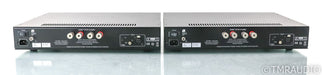 PS Audio Stellar M700 Mono Power Amplifier