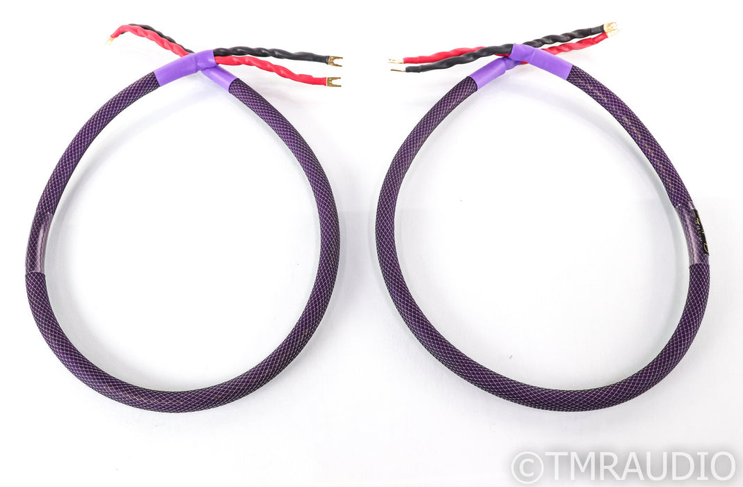 Acoustic Zen Hologram II Speaker Cables; 5ft Pair; Zero Crystal