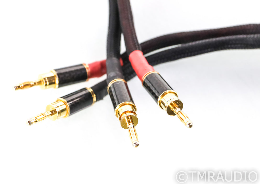 WyWires Daedalus Speaker Cables; 6m Pair