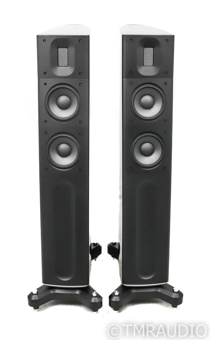 Raidho D2.1 Floorstanding Speakers