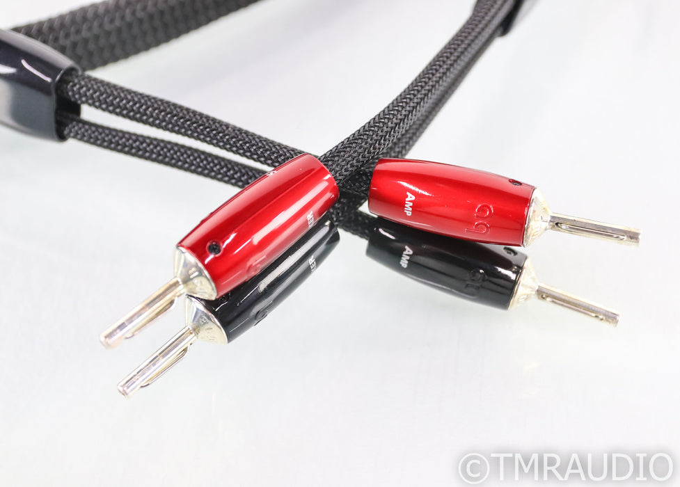 AudioQuest Robin Hood Silver Zero Speaker Cables; 8ft Pair; 72v DBS