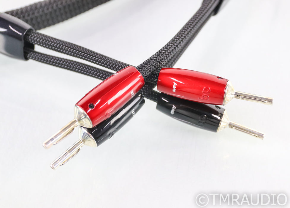 AudioQuest Robin Hood Silver Zero Speaker Cables; 8ft Pair; 72v DBS