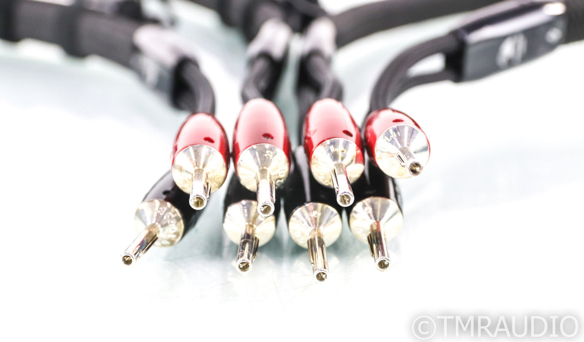 AudioQuest Robin Hood Silver Zero Speaker Cables; 8ft Pair; 72v DBS