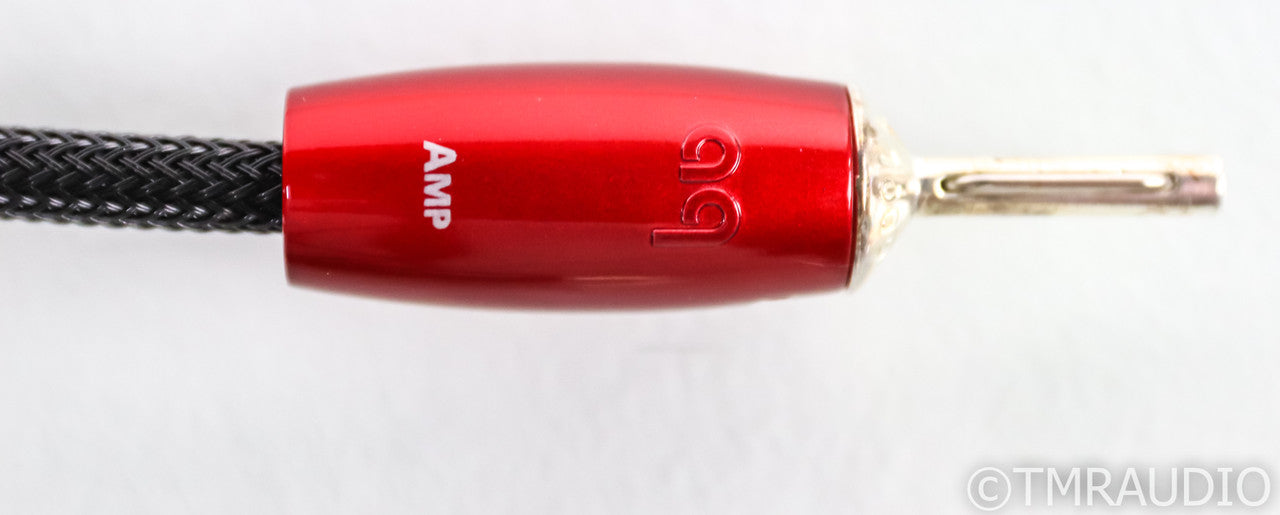 AudioQuest Robin Hood Silver Zero Speaker Cables; 8ft Pair; 72v DBS