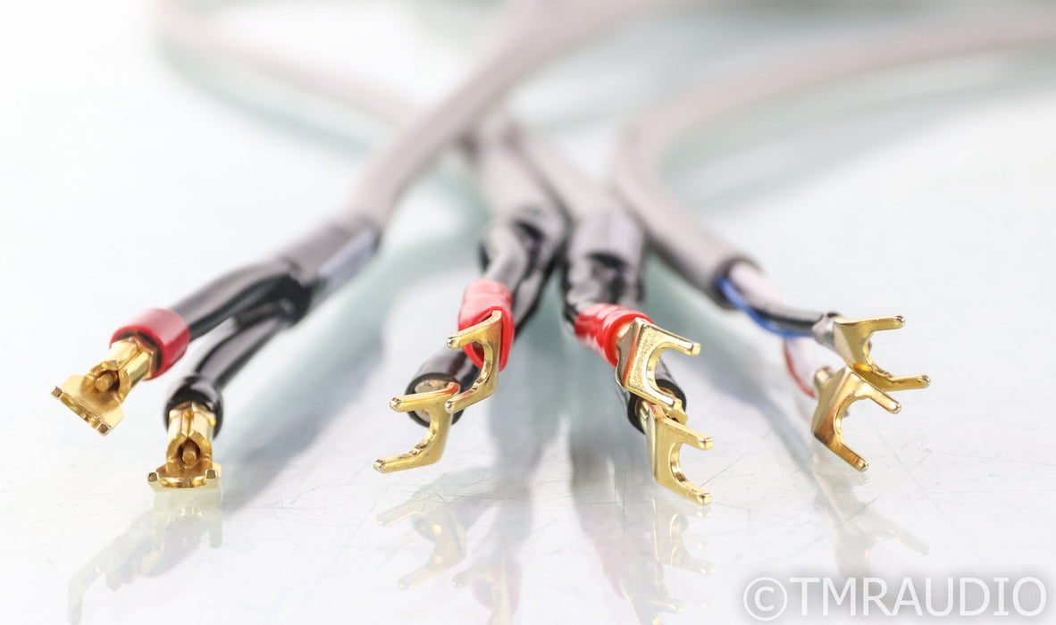 MIT Terminator 3 Speaker Cables; 5.75m Pair