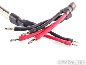 WireWorld Equinox 5 Biwire Speaker Cable; Single 2m Cable