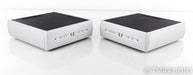 Audio Alchemy DPA-1M Mono Power Amplifier