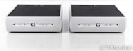 Audio Alchemy DPA-1M Mono Power Amplifier