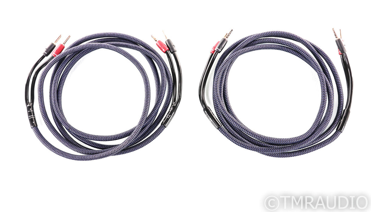 AudioQuest Type 4 Speaker Cables; 10ft Pair