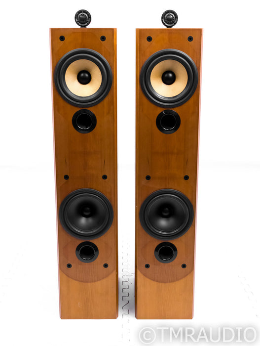 B&W P6 Floorstanding Speakers