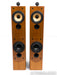 B&W P6 Floorstanding Speakers