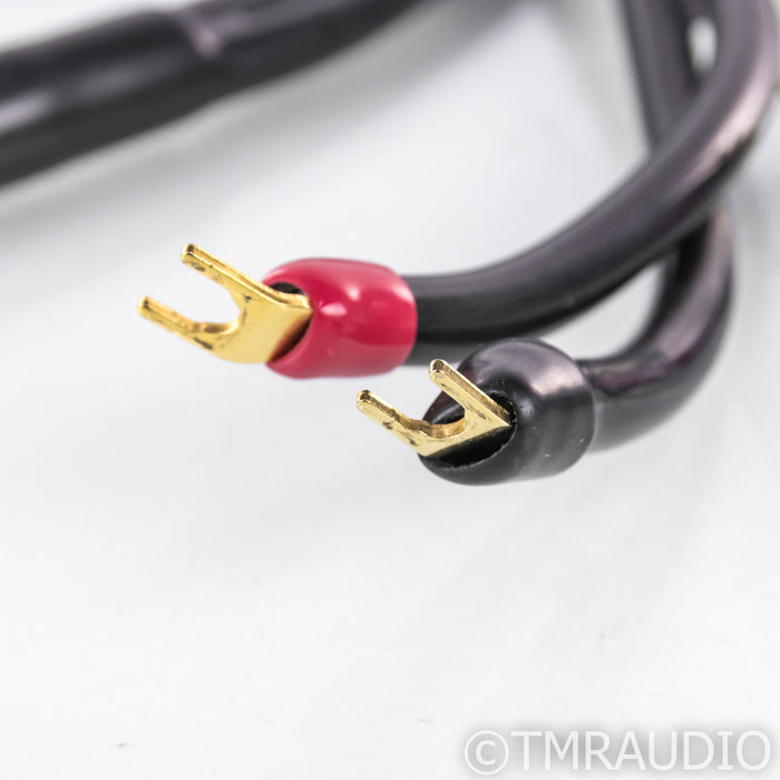Transparent MusicWave Ultra Speaker Cables; 8ft Pair