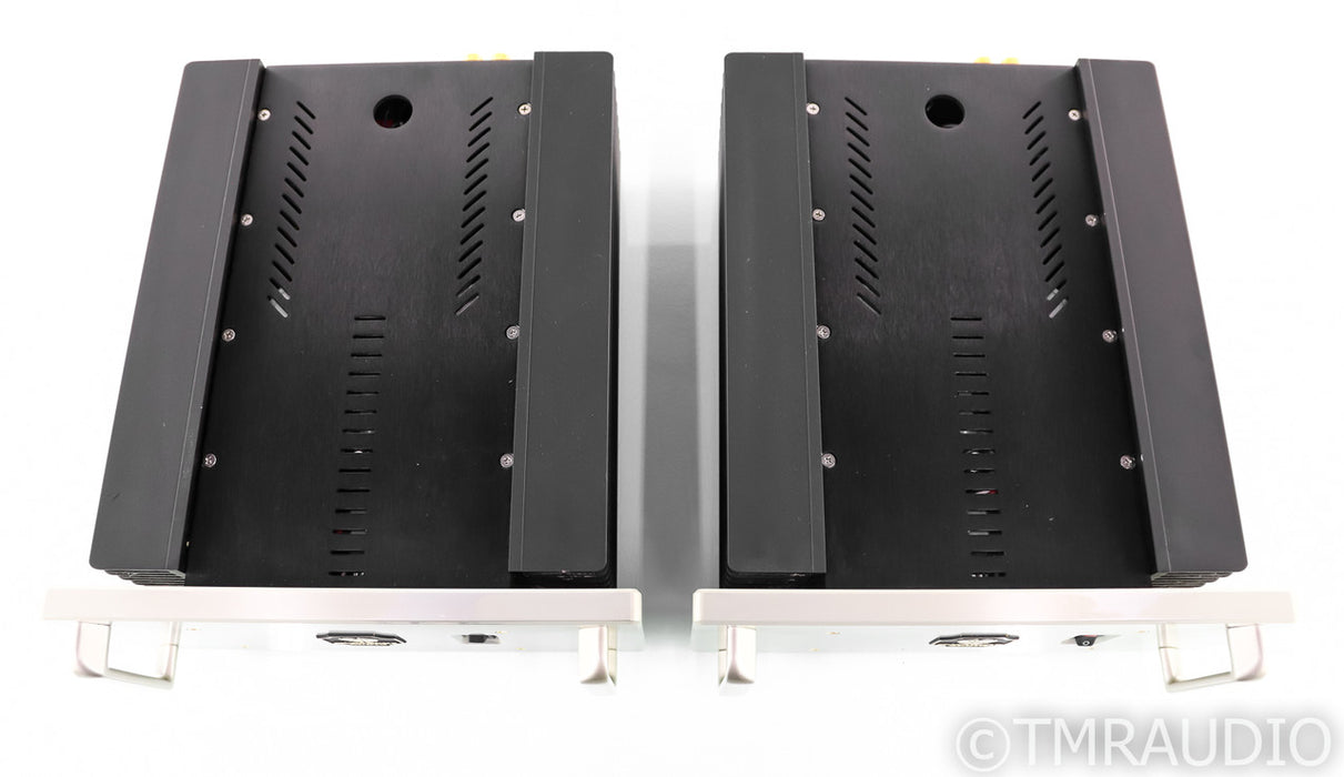 Monarchy Audio SE-250 Tube Hybrid Mono Power Amplifier