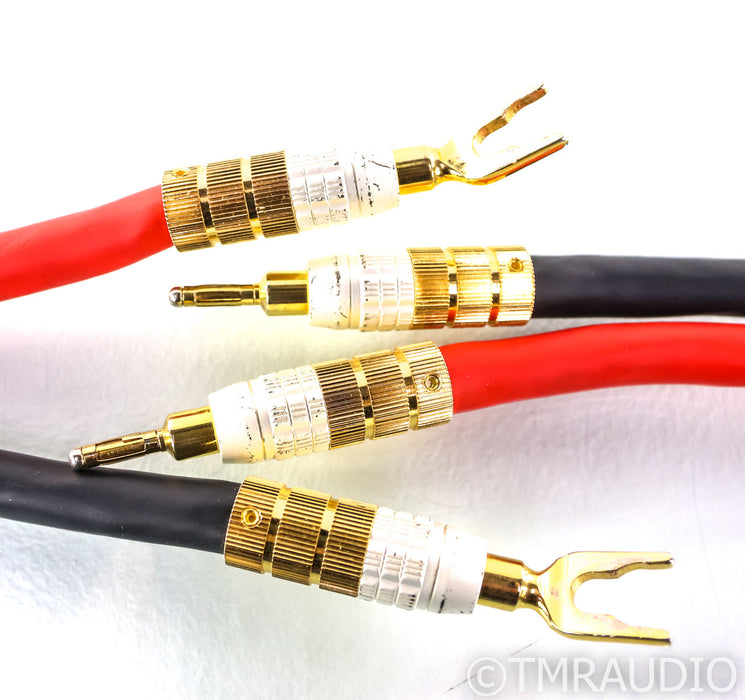 PS Audio xStream Prelude Speaker Cables; 2m Pair