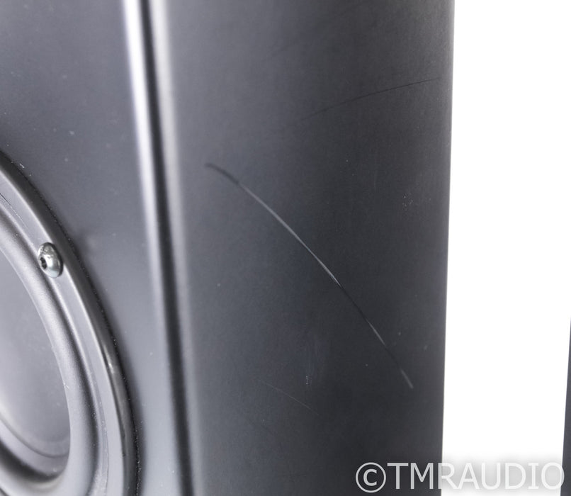 Totem Acoustics Tribe II On-Wall Speakers