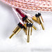 Kimber Kable 12TC Bi-Amp Speaker Cables; 10ft Pair w/ WBT 0645 Bananas