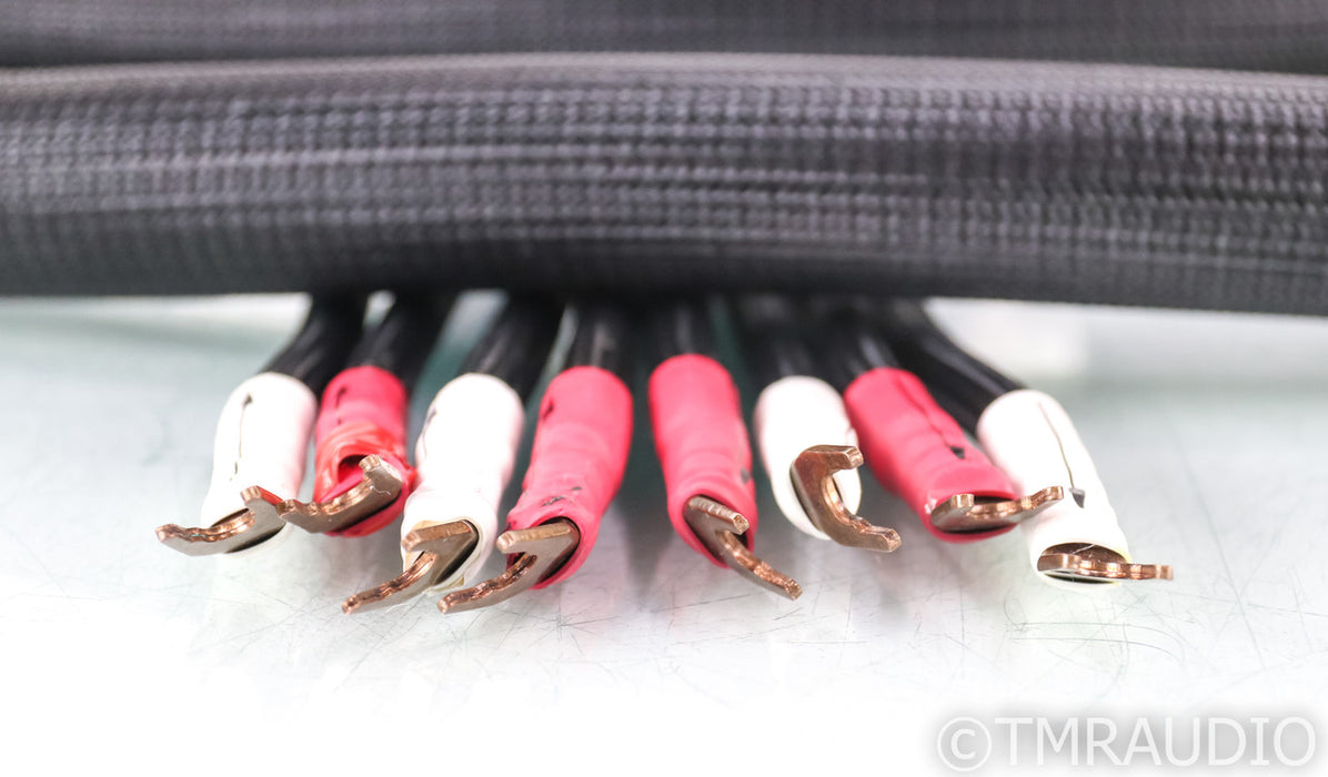 Shunyata Sigma V1 Speaker Cables; 2m Pair; Reference
