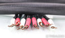 Shunyata Sigma V1 Speaker Cables; 2m Pair; Reference