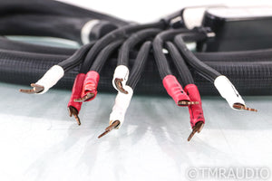 Shunyata Sigma V1 Speaker Cables; 2m Pair; Reference