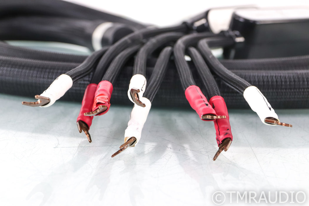 Shunyata Sigma V1 Speaker Cables; 2m Pair; Reference