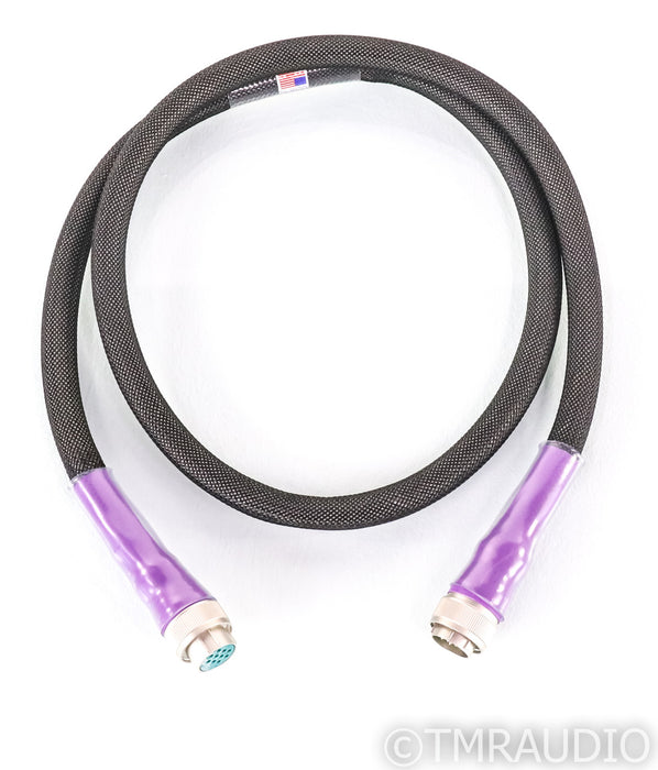 Revelation Audio Labs Passage Silver Cryo Reference Umbilical Cable; Pass Labs