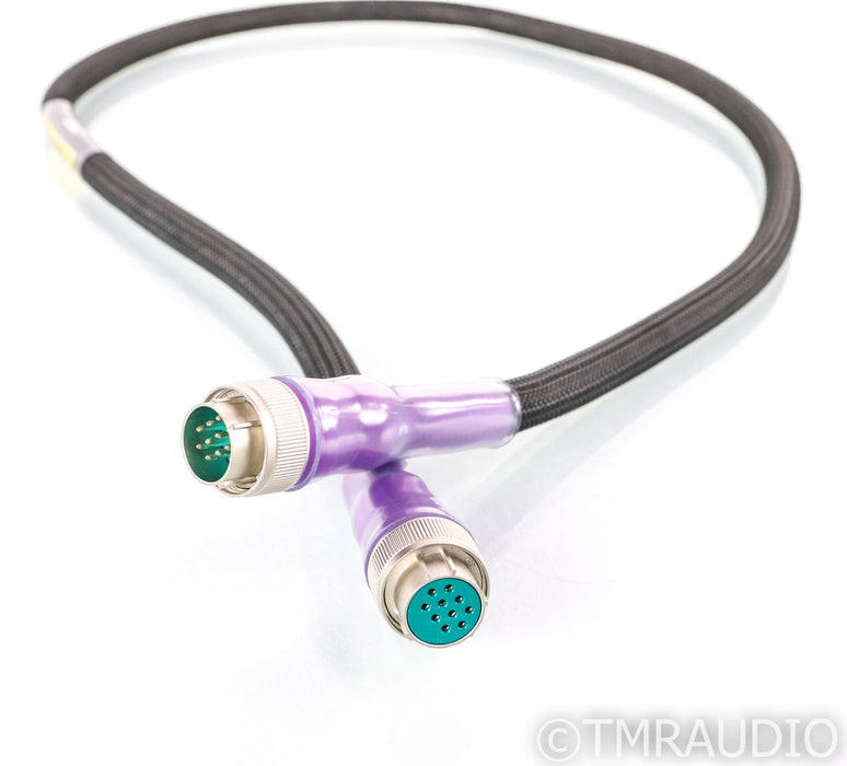 Revelation Audio Labs Passage Silver Cryo Reference Umbilical Cable; Pass Labs