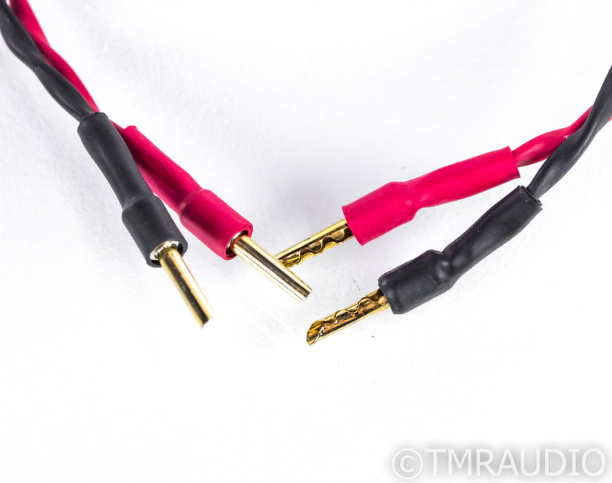 Audioquest Type 4 Speaker Cables; 10ft Pair
