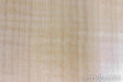 Clearwave Symphonia Mini Bookshelf Speakers