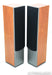 Dynaudio Audience 72 SE Floorstanding Speakers