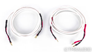 Audioquest Type 4 Speaker Cables; 10ft Pair