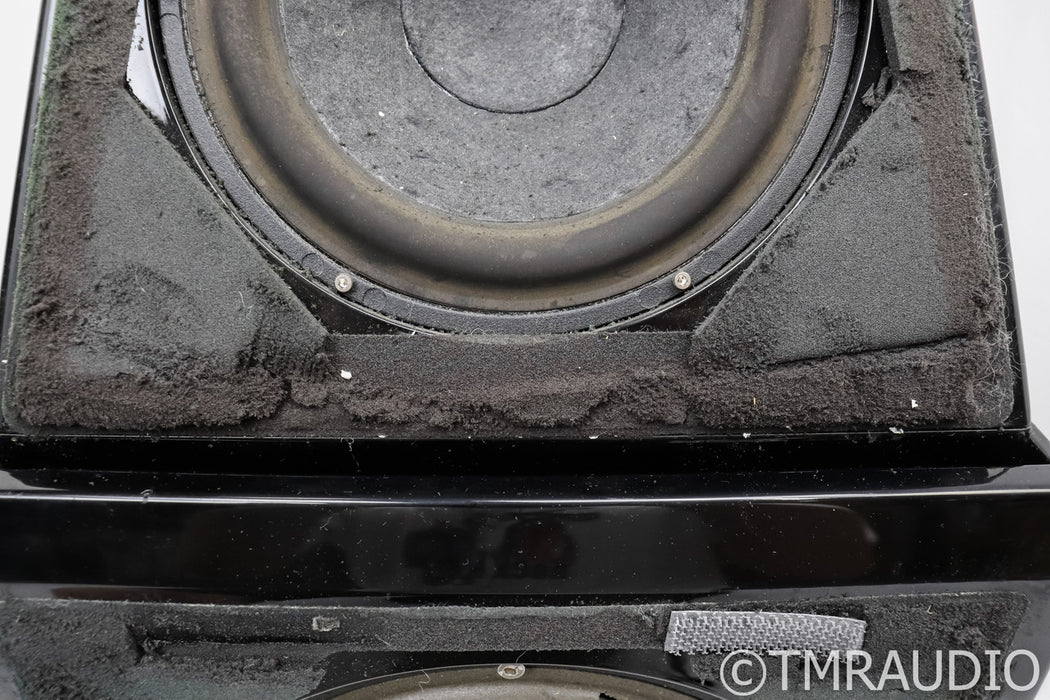 Wilson Audio Watt/Puppy Series 6 Full Range Speakers