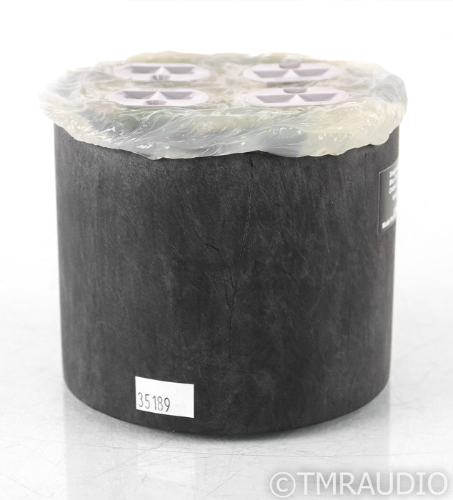 Blue Circle PLC Thingee AC Power Line Conditioner