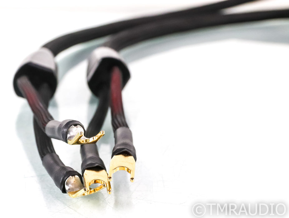 Transparent Audio Ultra Speaker Cables