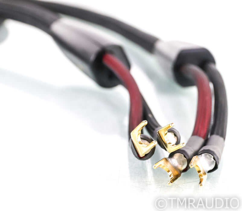Transparent Audio Ultra Speaker Cables