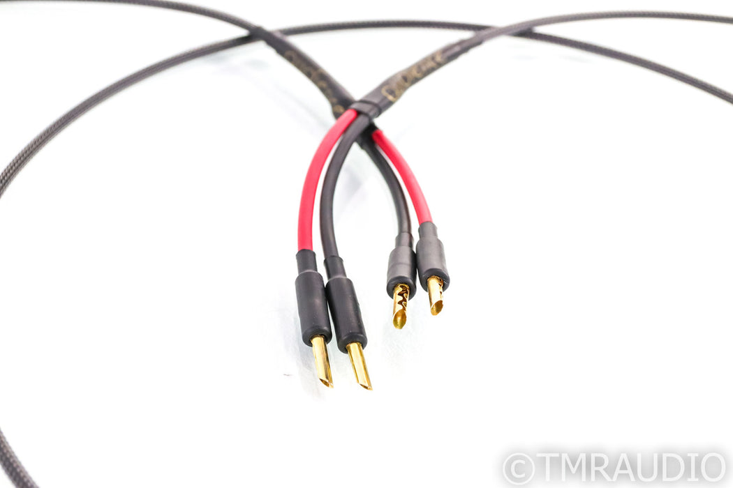 Audience AU24 SE Speaker Cables; 3m Pair