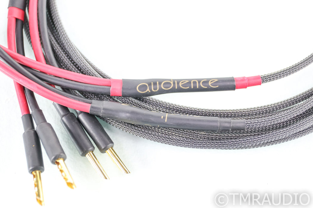 Audience AU24 SE Speaker Cables; 3m Pair