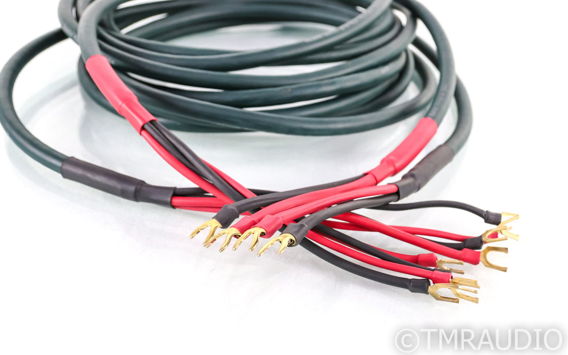 DH Labs Silver Sonic Q-10 Signature Bi-Wire Speaker Cables; Q10; 12ft pair