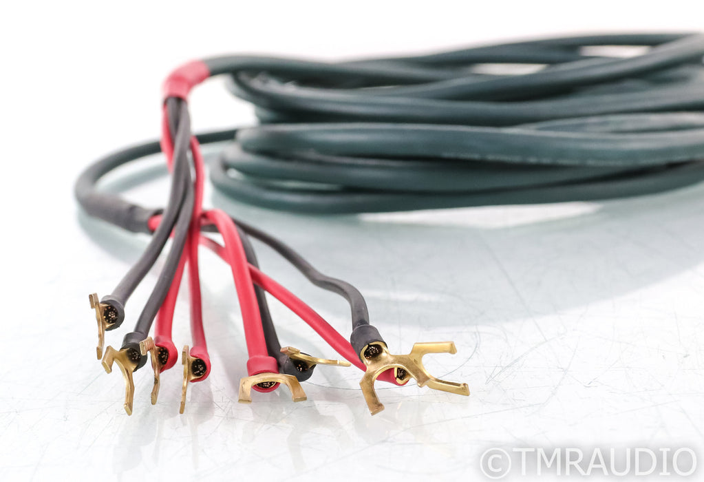 DH Labs Silver Sonic Q-10 Signature Bi-Wire Speaker Cables; Q10; 12ft pair