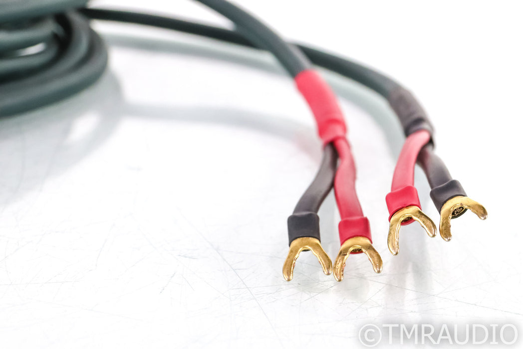 DH Labs Silver Sonic Q-10 Signature Bi-Wire Speaker Cables; Q10; 12ft pair
