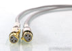 Shunyata Research Venom XLR Cables